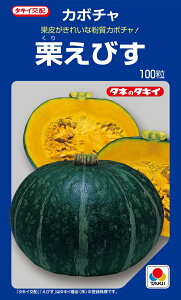 Iт@J{`@100@yZ̎zy^LC̃^lzy؂̎z