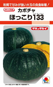 ほっこり133 カボチャ 9粒 【南瓜の種】【タキイのタネ】【野菜の種】