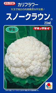 スノークラウン カリフラワー種子 20ml 早生種 【野菜種子】 【タキイ種苗】【カリフラワーの種】