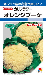 ^LC@IWu[P@Jt[q@0.9ml@@_ȓo^i(i햼@IWh[)@y؎qz@y^LCczyJt[̎zyX