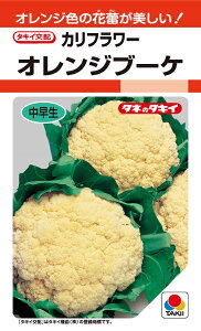 ^LC@IWu[P@Jt[q@0.5ml@@_ȓo^i(i햼@IWh[)@y؎qz@y^LCczyJt[̎zyX