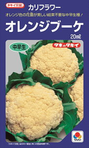 ^LC@IWu[P@Jt[q@20ml@@_ȓo^i(i햼@IWh[)@y؎qz@y^LCczyJt[̎z