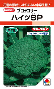 nCcSP@ubR[q@105@@y؎qz@y^LCczyubR[̎z