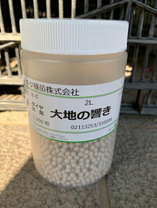 @n̋@lMq@ybg5痱@y؎qzygL^cz