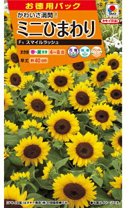 ␫(ᑐ)Ђ܂@p@ X}CbV  [FHM410]yԂ̎zy^LCzzyK[fjOz