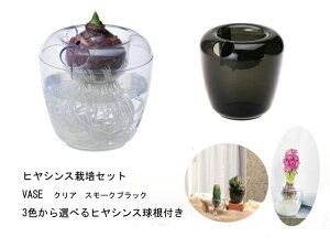 3FIׂ@qVX͔|Zbg@VASEVOiNA@X[NubNjyqVX͔|Lbgz