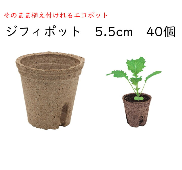 楽天市場】土にかえる 天然素材ポット ジフィーポット 丸型 5.5cm 40 