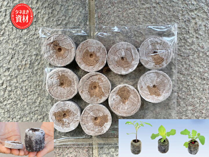 魅力の サカタのタネ そのまま植えられる土ポット ジフィーセブン 30mm×48個入 30mm サカタのタネ そのまま植えられる土ポット ジフィーセブン 30mm×48個入 30mm