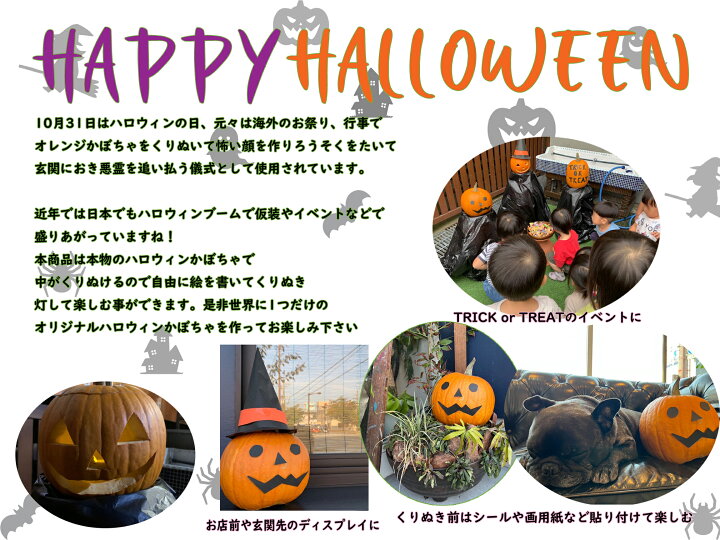 楽天市場 ハロウィンカボチャ Llサイズ 1個 ジャックオランタン ハロウィンパンプキン 吉谷農芸 楽天市場店