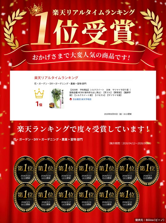 楽天市場】【2025年 予約商品】シルクスイート 10本 サツマイモ切り苗 