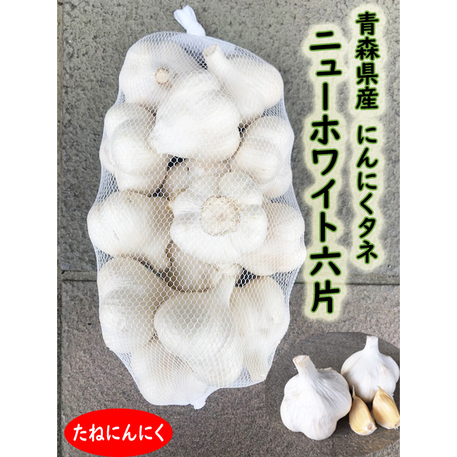青森県産 タネ用にんにく 10kg 福地ホワイト六片 無消毒 種子種球用 - 野菜