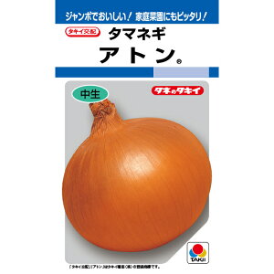 Ag@ʂ˂q@@@܎q@y^LCczy؎qz