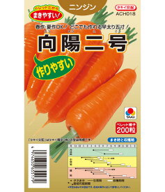 ニンジン　向陽2号　【人参】【タキイ交配】【作りやすい】