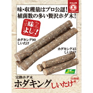 ؁@IKۊnz_ z_LO90@1{y͔|z