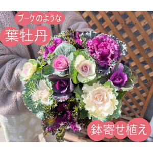 yt{^Azނ̗tO񂹐A@vMt@y񂹐AzyNX}X񂹐AzyN񂹐AzytO񂹐AzytOzyLLtOz