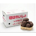 【令和7年産　馬鈴薯種子】じゃがいも種子　レッドムーン芋　　サイズ混合　【令和7年度産　種イモ】【馬鈴薯種】【種…