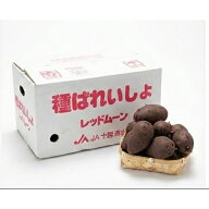 【令和7年産　馬鈴薯種子】じゃがいも種子　レッドムーン芋　　サイズ混合　【令和7年度産　種イモ】【馬…