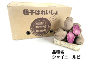 �y�ߘa7�N�Y�@�n�鏒��q�z���Ⴊ��������@�V���C�j�[���r�[���@�@�T�C�Y�����@�_�ѐ��Y�ȓo�^�i��(�i�햼�@�V���C�j�[���r�[�C�O���o�֎~�@����(�_�ѐ��Y��HP�Q��)�@�y�n�鏒��z�y��