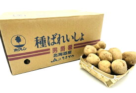 【令和7年　馬鈴薯種子】　じゃがいも種芋　男爵　混合サイズ（S～M）北海道産　【馬鈴薯種】【種芋】【検品合格済】