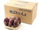 【令和7年度産　馬鈴薯種子】じゃがいも種子　グラウンドペチカ芋（デストロイヤー）　サイズ混合　検品合格済　【馬…