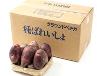 【令和7年度産　馬鈴薯種子】じゃがいも種子　グラウンドペチカ芋（デストロイヤー）　サイズ混合　検品…