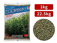 緑肥用種子　ソルガム　緑肥用ソルゴー　　1kg　22.5kg　【緑肥ソルゴー　種】【クリーニングクロップ】…
