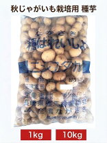 楽天市場】じゃがいも 種芋 10kg（ガーデニング・農業｜花・ガーデン 