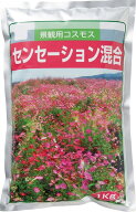 景観用コスモス　センセーション混合　【花の種】【緑化事業】【コスモス　種】【コスモス種子】【コスモ…