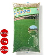 芝生ウインターオーバーシード専用種子　サツキワセ　　農水省登録品種　(品種名　サツキワセ）【タキイ…