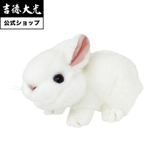 yzg ʂ gIWiʂ 肭̂Ȃ܂  ETM zCg