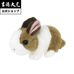 yzg ʂ gIWiʂ 肭̂Ȃ܂  ETM uE