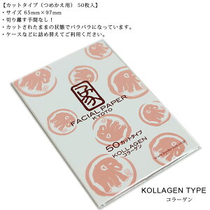 ԂƂ莆R[Q50y[֑Ήz 玉 z ԂƂ莆  50 Jbg^Cv ؂藣 RX  XL XLPA