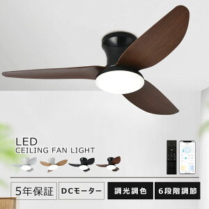 yԌ聚10%N[|zV[Ot@Cg led F 6iKʒ t]@\ V[Ot@ t@tƖ V[OCg  8 12 6 10 DC[^[ 