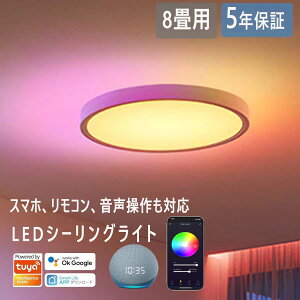 LEDV[OCg AlexaΉ RGBԐڌ F Rt 6 8 10 ȃGl obNCg  tbg^  F 铔 k Hsv ȒPt Ɩ VƖ Ɩ 