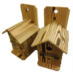 y Đ ̑ 2Zbg z 35~ Y i tEwL j140×s185×235~ Đ    Rf ؐ ̑ 쒹   o[hnEX ؍H   C