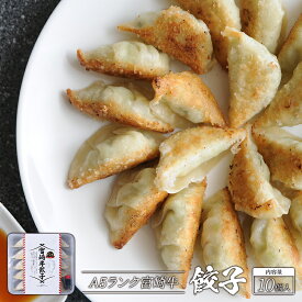 A5ランク宮崎牛 餃子 10個入 お取り寄せ 九州 グルメ 贈答用 贈り物 内祝い ギフト 記念日 誕生日 プレゼント