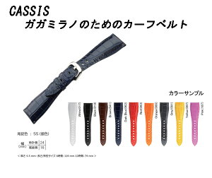 CASSIS JVX vxg TYPE GGM i^Cv@W[W[G)@iKK~mĵ߂ɍ쐬J[txg v24mm@16mm