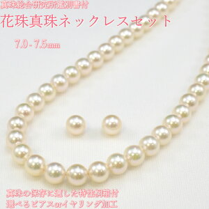 7.0-7.5~ Ԏ^lbNXZbg ARp[lbNXZbg ^쑍 ӕʏtyzylzyjzyMtgzyLOizy7.5mmzy7.0mmzyv[gz