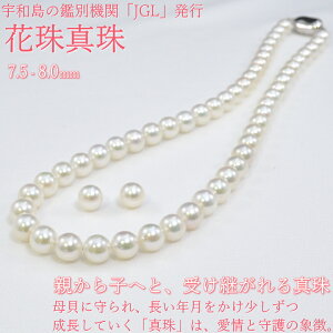 7.5-8.0~ JGL ARԎ^ p[lbNX Zbg F IׂK14WGsAXorolVo[CO ǉK14WGCO Ԏp[ v[g Mtg  p[Zbg