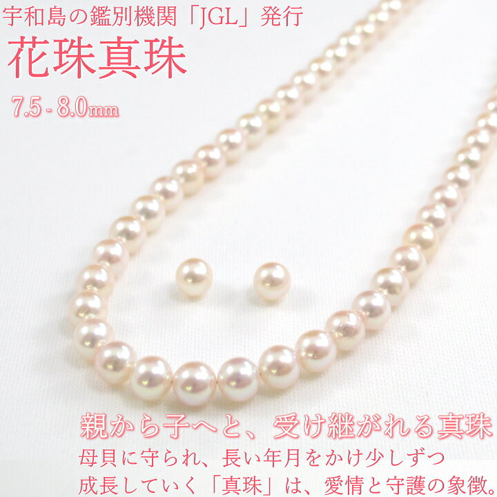 楽天市場】【限定1本 ポイント最大35倍！】7.5-8ミリ JGL アコヤ花珠 