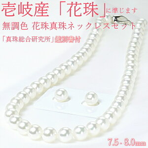 y7.5-8.0~zY F AR^lbNXZbg@^쑍ӕʏt@IׂsAXorCO ӕʕ]@uԎɏ܂v yzyzŷzyv[g