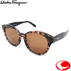 Salvatore Ferragamo T@g[ tFK SF884SA-273 TOX fB[Xyz