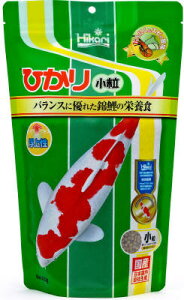 Hikari Ђ  400g ь a t[h