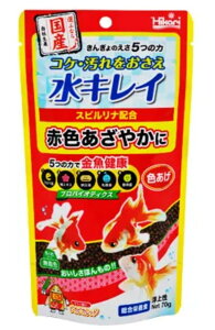 Hikari 񂬂̂ 5̗  70g  a t[h