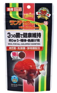 Hikari Ђ `E xr[S[h SS  80g  a t[h