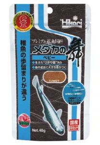 Hikari Ђ _J̕ xr[ 40g _J t a t[h