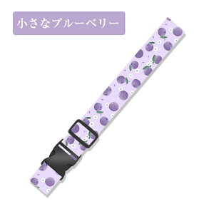 _2ȏ̂w10%OFFN[| 12/15܂Ł^V_[^̂ȃX[cP[Xxg X[cP[Xxg  ^b` gNxg ^b` ȒP  