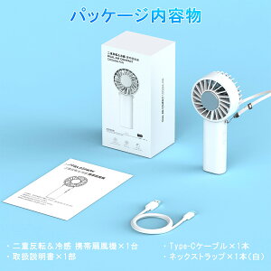 �y10%OFF�N�[�|���z�n���f�B�t�@�� ��p�v���[�g ��d���]�t�@�� �g�ѐ�@ �u�ԗ�p -20�� �啗�� ���� 3WAY �莝�� ��|�� ����@ �É� USB�[�d�� Type-C �~�j�t�@�� �����^�� �y�� �R���p�N