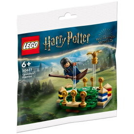 【送料無料】LEGO　Harry Potter 30651 Quidditch practice　レゴ ハリーポッター クィディッチの練習【55ピース】【代金引換不可】【ポリ袋】【郵便】