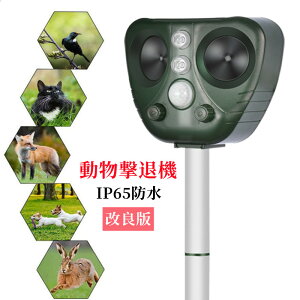 y1Nԕۏ؁zL悯 ފ Qb L悯 g L g Lގ L悯 ObY Q ˂悯 g Q΍ L   lY~悯 USB\[[[d ǔL
